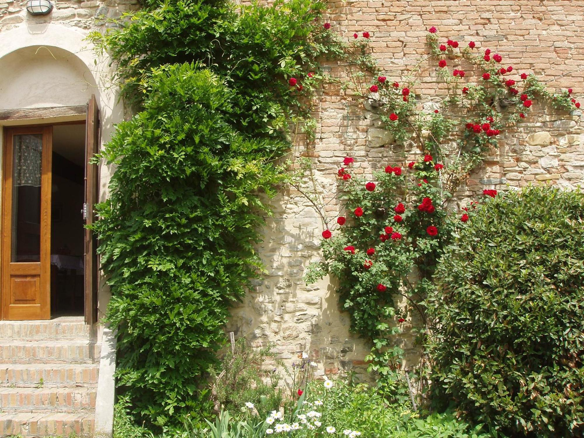 Agriturismo Ca' Bertu' Zappolino Exteriör bild